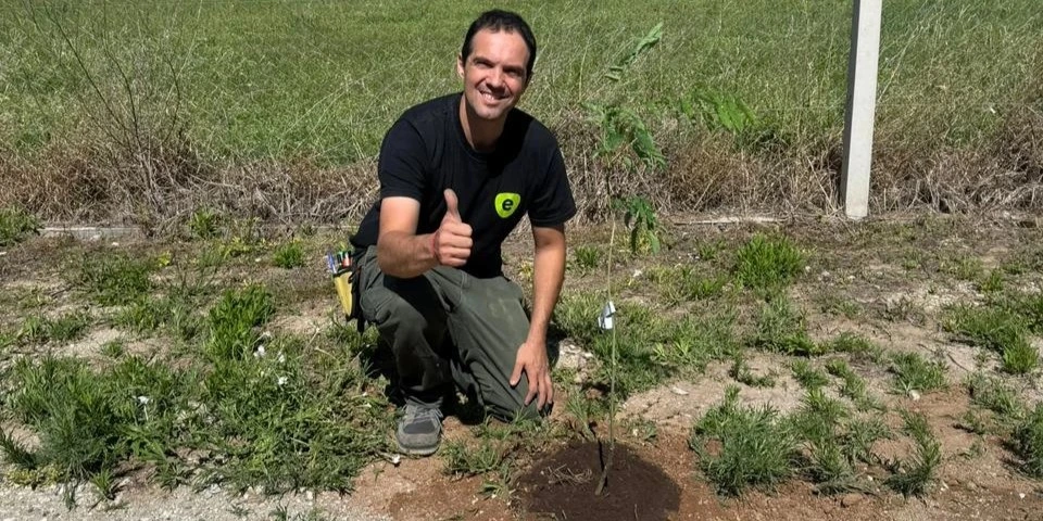 Plantacion de Arboles