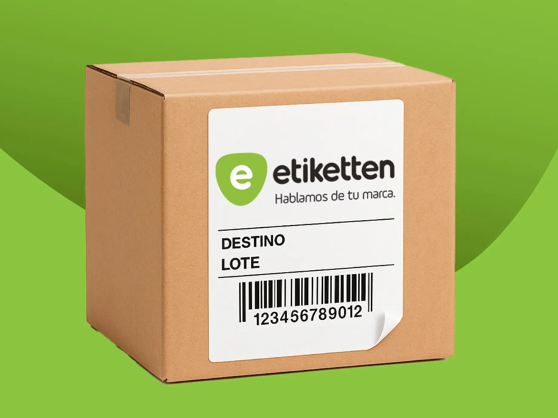 Logistica